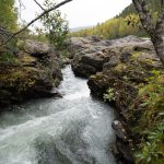 Embracing the Wilderness: A Journey of Self-Discovery